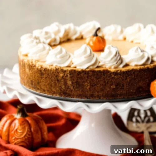No-Bake Pumpkin Cheesecake with a gingersnap crust.