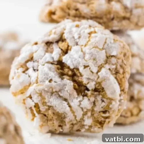 Dusted Dreams: 25 Powdered Sugar Indulgences 14 img 43729 17