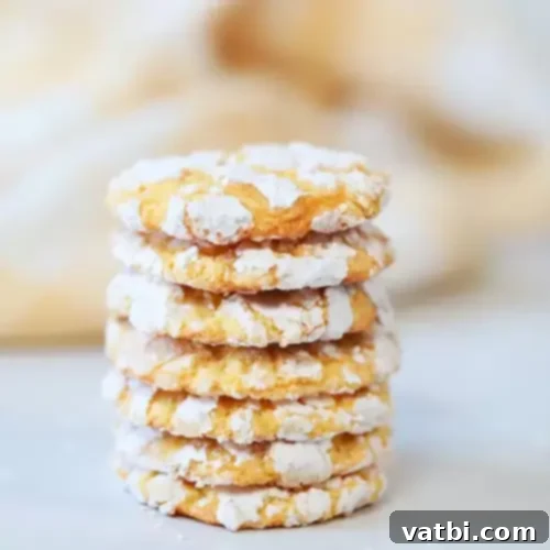 Dusted Dreams: 25 Powdered Sugar Indulgences 8 img 43729 9