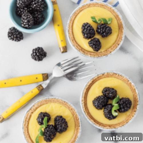 67 Zesty Lime Desserts 8 Mini Lime Tarts, tangy and refreshing, topped with plump blackberries and streamlined with store-bought graham cracker tart shells.