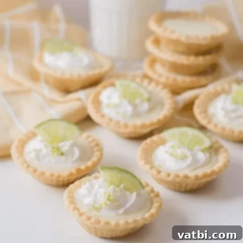 67 Zesty Lime Desserts 9 Mini Key Lime Pies, bursting with sweet and citrus lime flavor and topped with whipped cream.