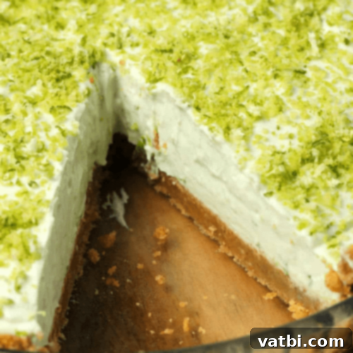 67 Zesty Lime Desserts 13 Creamy dreamy Vegan Key Lime Pie with a perfect mousse texture, wonderfully sweet and tart.