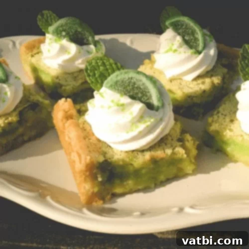 67 Zesty Lime Desserts 24 Mojito Key Lime Bars, an easy recipe with a flavorful twist on traditional lime bars, combining key lime juice and fresh mint.