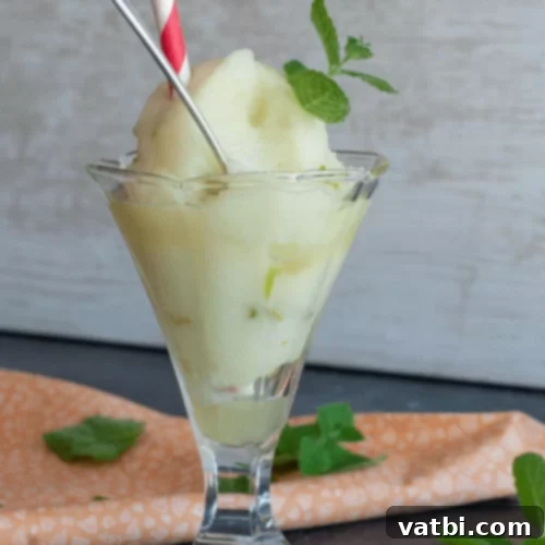 67 Zesty Lime Desserts 29 Homemade Italian Lime Sorbet, a cold limoncello-like treat made with only three ingredients.