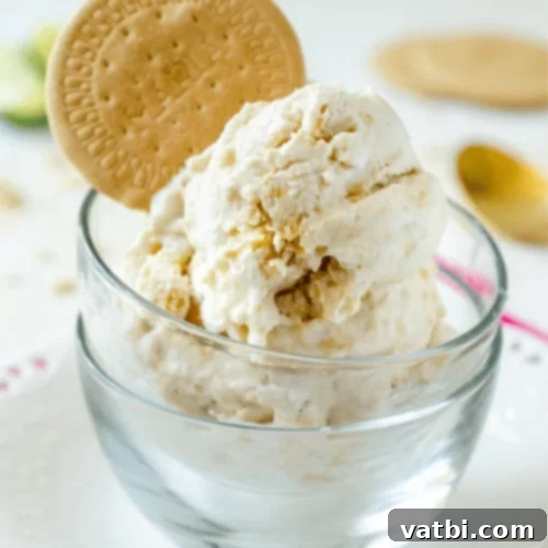 67 Zesty Lime Desserts 34 Vegan Key Lime Pie Ice Cream with a tangy and sweet key lime-coconut milk base and crumbled vegan Maria cookies.