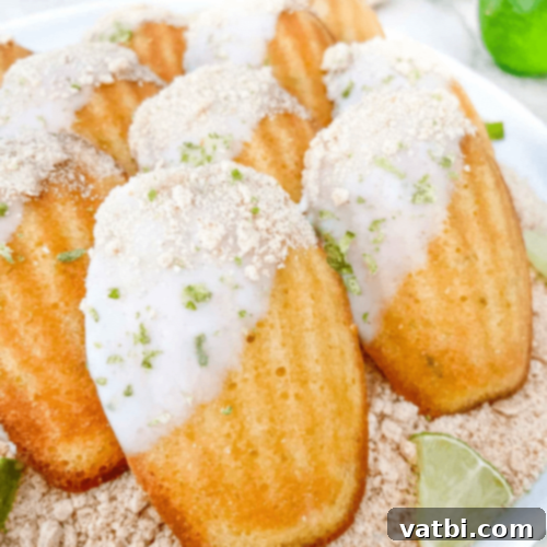 67 Zesty Lime Desserts 36 Key Lime Pie Madeleines, soft mini cakes with lime citrus and graham cracker flavor, just like the pie!