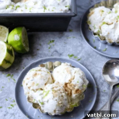 67 Zesty Lime Desserts 39 Cookies and Cream Key Lime Ice Cream, full of refreshing citrus lime, sweet cream, and crushed vanilla cream cookies.