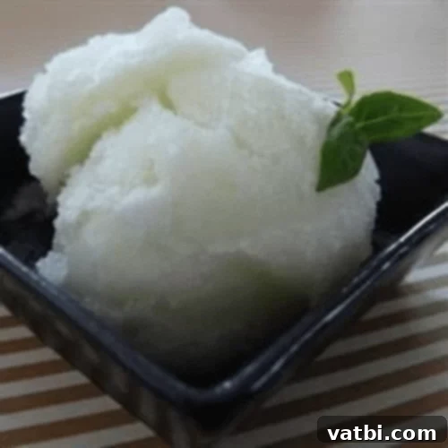 67 Zesty Lime Desserts 45 Cactus Fig and Lime Sorbet, a light and refreshing summer treat made from sweet prickly pear cactus fruit and lime.