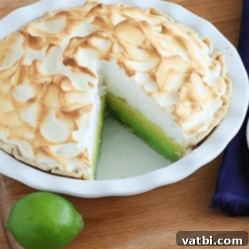 67 Zesty Lime Desserts 50 Heavenly Lemon-Lime Meringue Pie with two separate and distinct layers of lemon and lime.