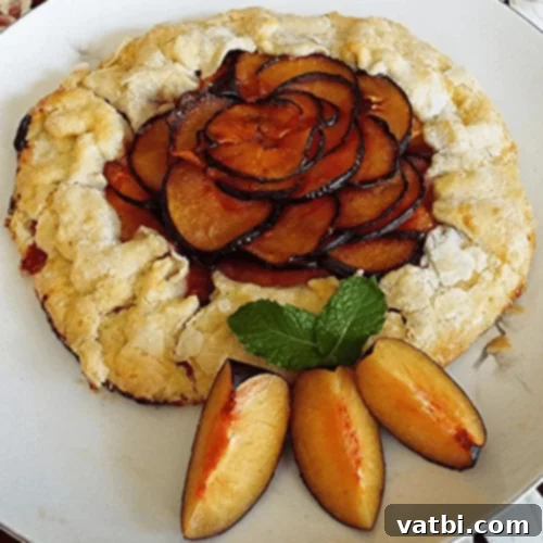 67 Zesty Lime Desserts 51 Pluot Lime Galette, a rustic and delicious dessert where pluots (plum-apricot cross) meet tangy lime, very easy to make.