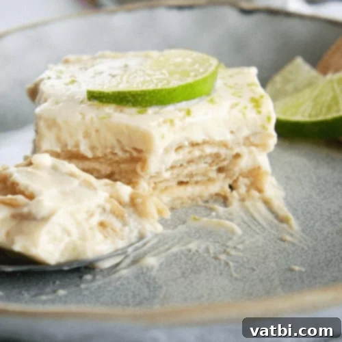 67 Zesty Lime Desserts 54 Mexican Lime Icebox Cake (Carlota de Limon), an easy no-bake cake with only 5 ingredients.