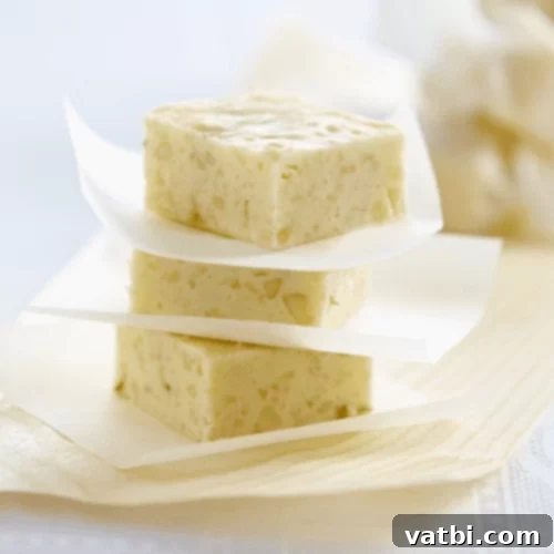 67 Zesty Lime Desserts 55 Creamy, tangy-sweet Lime and Macadamia Fudge, a treat sure to delight.