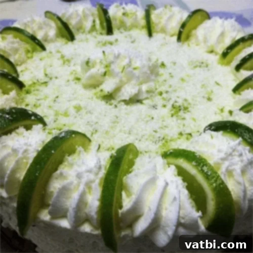 67 Zesty Lime Desserts 58 No-Bake Lime Mousse Torte, tart and tangy, flavored with white chocolate, lime juice, and gingersnap cookies.