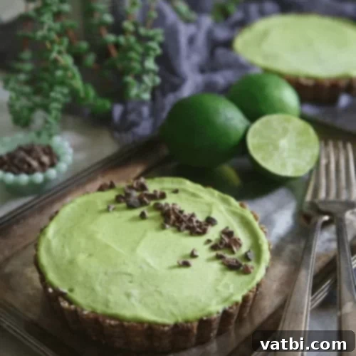 67 Zesty Lime Desserts 3 No-Bake Lime Avocado Tart, a paleo, grain-free, and gluten-free treat with zesty lime flavor.