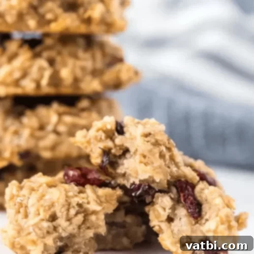 45 Festive Gluten-Free Christmas Delights 10 Healthy and delicious Breakfast Cookies, a gluten-free option for a quick morning treat.