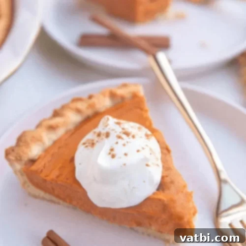 Thanksgiving Dessert Perfection: 35 Gluten-Free Pies 8 A luscious slice of sweet potato pie, featuring its silky smooth texture, presented elegantly on a plate.