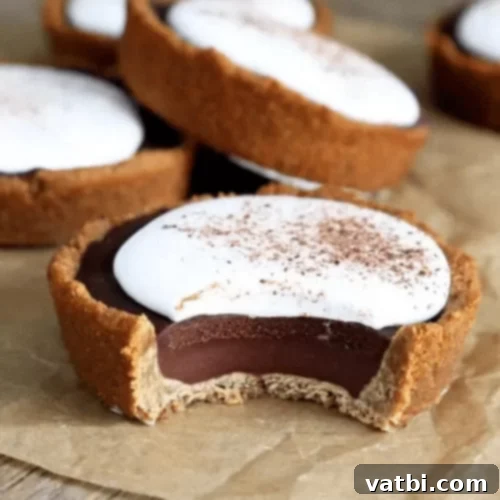 Thanksgiving Dessert Perfection: 35 Gluten-Free Pies 12 A collection of adorable mini gluten-free s'mores pies, perfectly stacked and inviting, offering a sweet bite-sized treat.