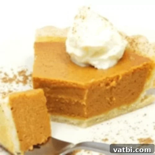 Thanksgiving Dessert Perfection: 35 Gluten-Free Pies 17 A rich slice of gluten-free butternut squash pie, warm and inviting, ready to be a new holiday favorite.