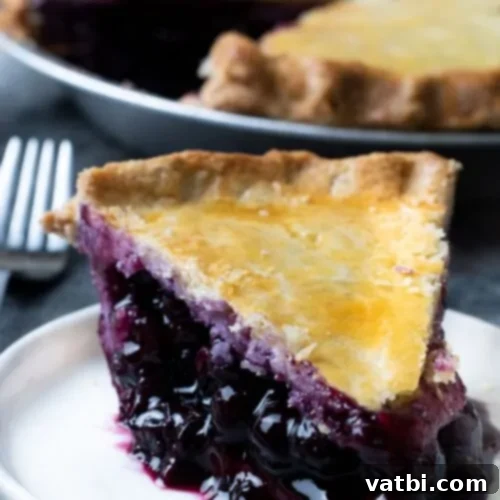 Thanksgiving Dessert Perfection: 35 Gluten-Free Pies 18 A generous slice of vibrant gluten-free blueberry pie, bursting with juicy berries and a golden crust, presented on a plate.