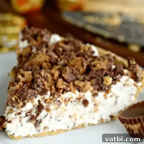 Thanksgiving Dessert Perfection: 35 Gluten-Free Pies 3 A tempting slice of Reese's Pie, showcasing its rich layers of chocolate and peanut butter, presented on a plate.