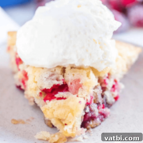 Thanksgiving Dessert Perfection: 35 Gluten-Free Pies 5 A slice of festive Gluten-Free Cranberry Pie, adorned with sugared cranberries and a hint of a golden crust.