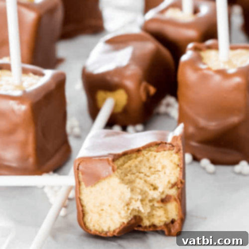 55 Ultimate Peanut Butter Desserts 14 img 45912 45