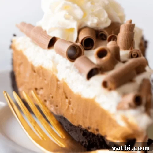 Bake-Free Bliss: 69 Easy Pie Recipes 7 A slice of No Bake French Silk Pie with chocolate shavings and whipped cream.