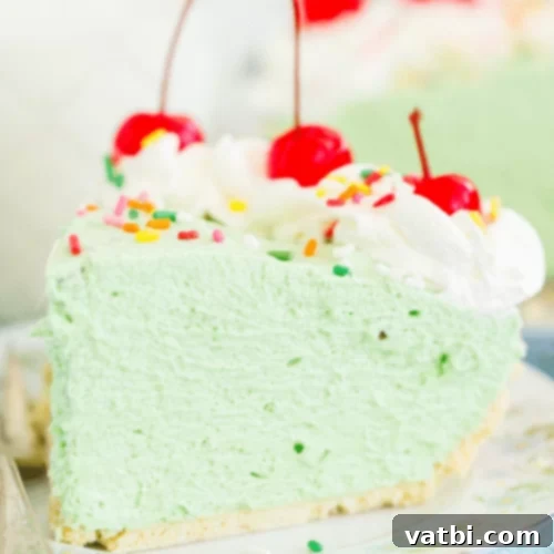 Bake-Free Bliss: 69 Easy Pie Recipes 9 A slice of green No Bake Pistachio Pie with whipped cream and chopped pistachios.