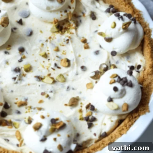 Bake-Free Bliss: 69 Easy Pie Recipes 25 A slice of No Bake Cannoli Cheesecake garnished with mini chocolate chips.