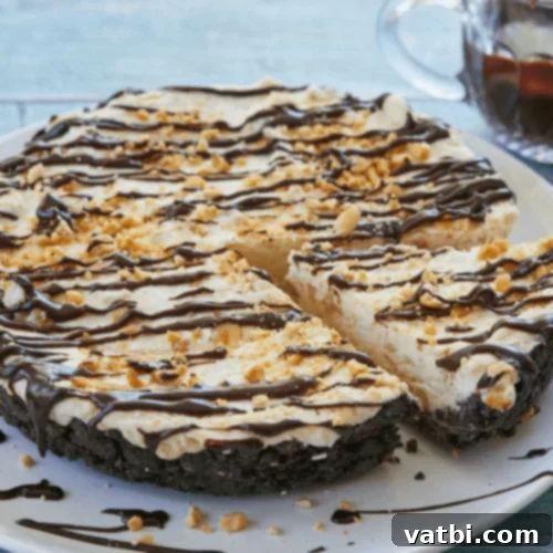 Bake-Free Bliss: 69 Easy Pie Recipes 35 A slice of No Bake Peanut Butter Fudge Ice Cream Pie with chocolate syrup.