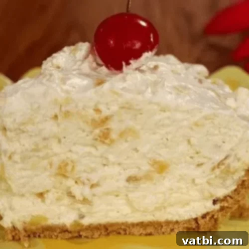 Bake-Free Bliss: 69 Easy Pie Recipes 43 A slice of No Bake Pineapple Cream Cheese Pie with pineapple chunks.