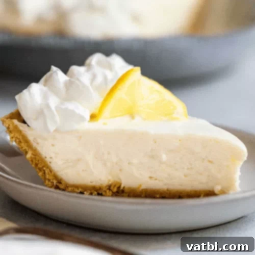 Bake-Free Bliss: 69 Easy Pie Recipes 45 A slice of No Bake Lemon Icebox Pie, garnished with lemon zest.