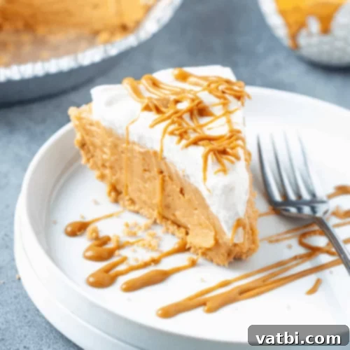 Bake-Free Bliss: 69 Easy Pie Recipes 48 A slice of No Bake Peanut Butter Fluff Pie, topped with whipped cream and mini peanut butter cups.