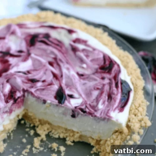 Bake-Free Bliss: 69 Easy Pie Recipes 53 A slice of No Bake Black Raspberry Cheesecake garnished with fresh raspberries.