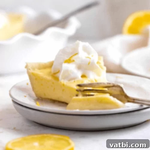 Bake-Free Bliss: 69 Easy Pie Recipes 54 A slice of No Bake Lemon Chiffon Pie with a dollop of whipped cream and lemon twist.