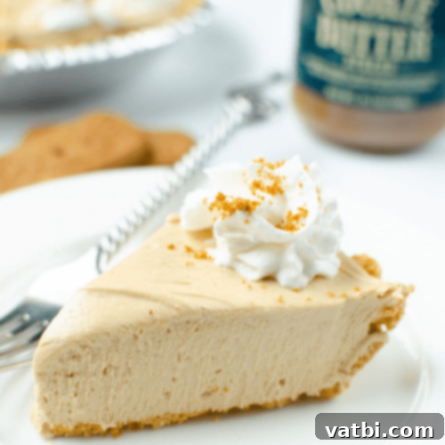 Bake-Free Bliss: 69 Easy Pie Recipes 4 A slice of No Bake Cookie Butter Pie with a graham cracker crust.
