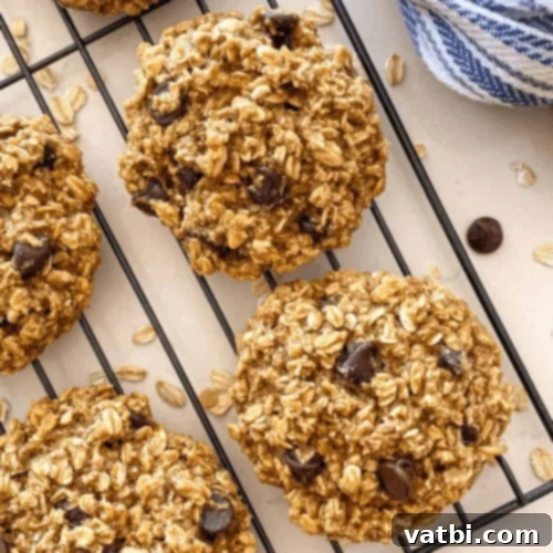Air Fryer Oatmeal Cookies