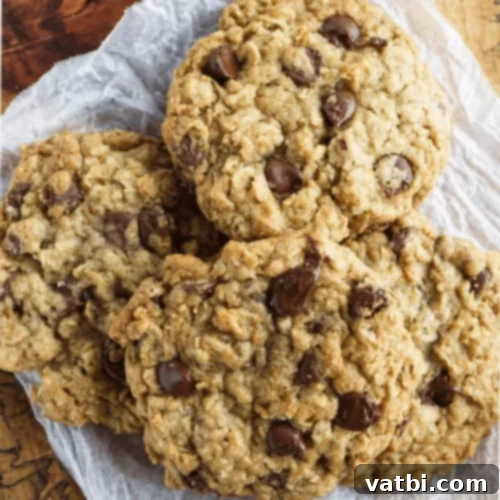 Air Fryer Chocolate Chip Oatmeal Cookies