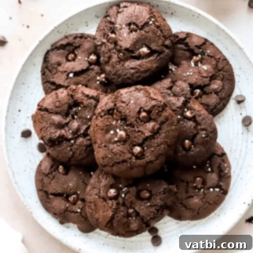 Double Chocolate Air Fryer Cookies