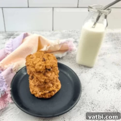 Air Fryer Oatmeal Raisin Cookies