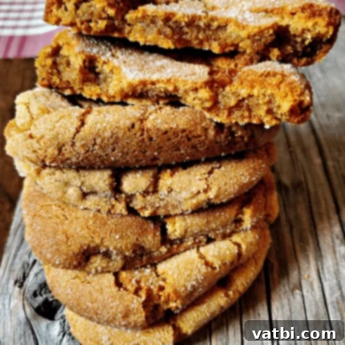 Air Fryer Ginger Snap Cookies