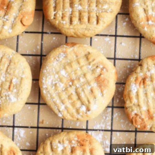 Air Fryer Pumpkin Butter Cookies