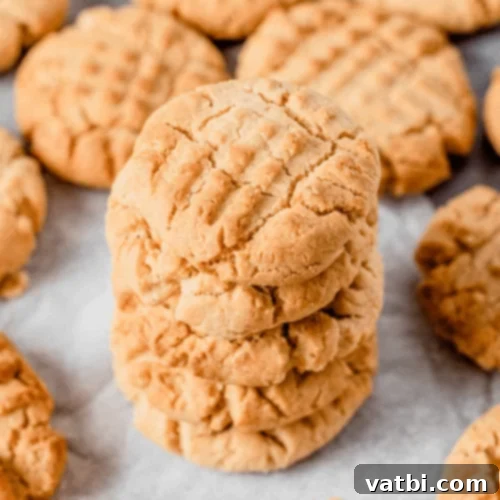 Gluten-Free Air Fryer Peanut Butter Cookies
