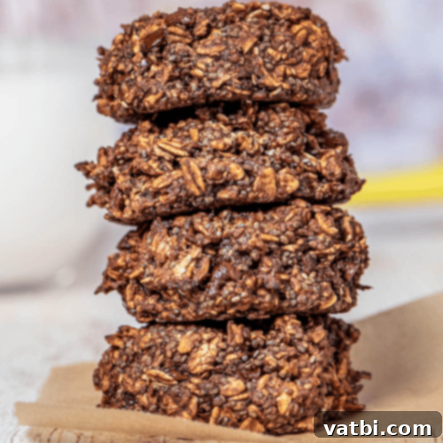 Chocolate Air Fryer Breakfast Cookies