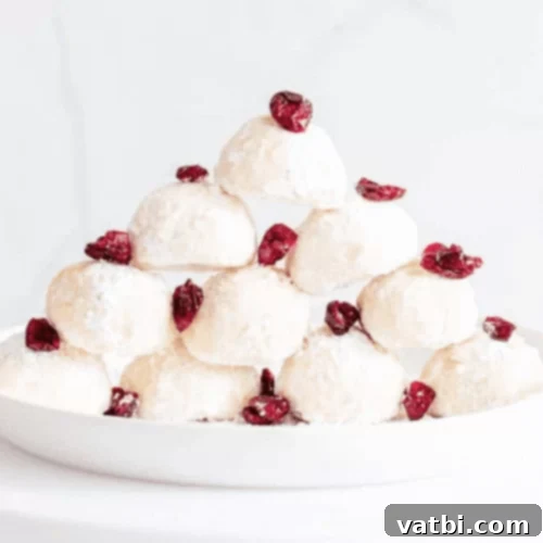 Vegan Air Fryer Snowball Cookies