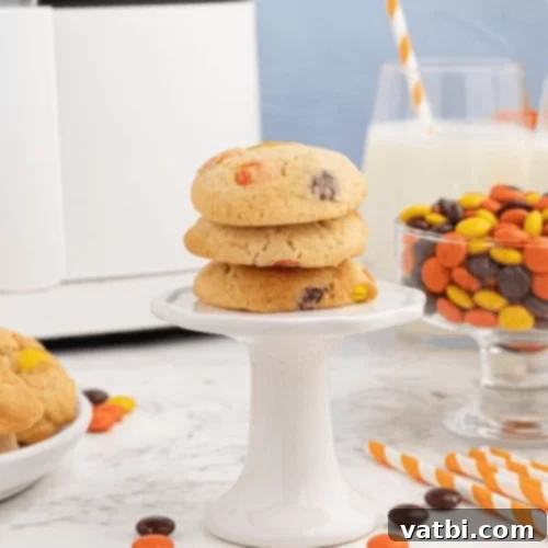 Air Fryer Sugar Cookies
