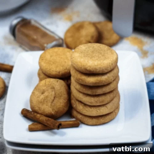 Air Fryer Snickerdoodles