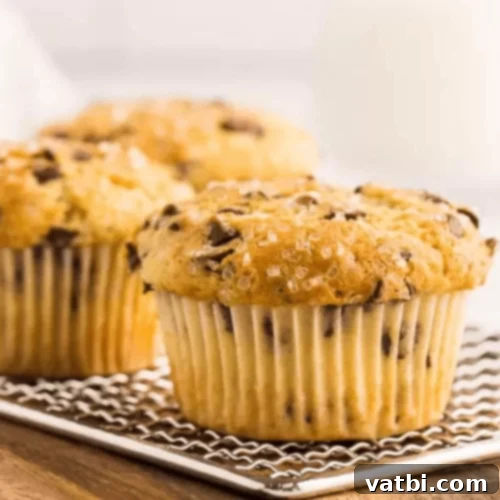 57 Irresistible Chocolate Chip Delights 3 img 47636 30