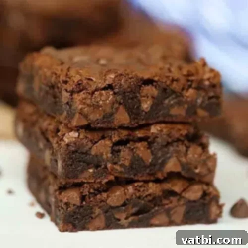 57 Irresistible Chocolate Chip Delights 6 img 47636 33