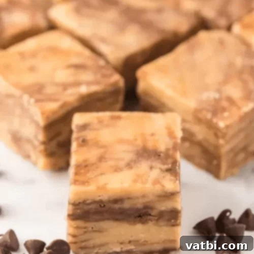 57 Irresistible Chocolate Chip Delights 10 img 47636 37